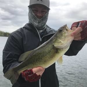 Meet your Posher, Josh